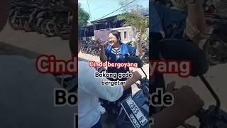 cindo bergoyang Bokong gede bergetar #shorts #viralvideo #goyang #joget
