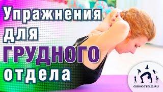 Оздоровление грудного отдела позвоночника