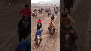 Бахтовар “БРАБУС” #buzkashi #horse #uloq #automobile #kupkari  #tajikistan #horselover #uzbekistan