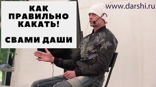 Как правильно какать. Свами Даши - победитель 17 битвы экстрасенсов.