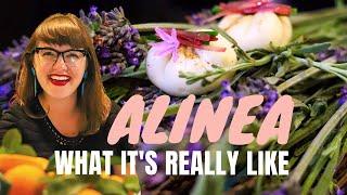 Eating at Alinea, Chicago's 3 Michelin Star Restaurant, in 60 seconds