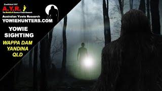 Yowie / Bigfoot Sighting (Audio Report #185) at the Wappa Dam, near Yandina, QLD