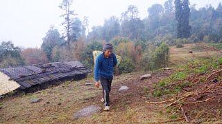 Himalayan shepherd life of Nepal || @shepherdlifeofnepal
