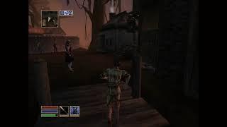 THE ELDER SCROLLS III: MORROWIND White Mage Bitter Coast Region Seyda Neen Vodunius Nuccius 18.02.21