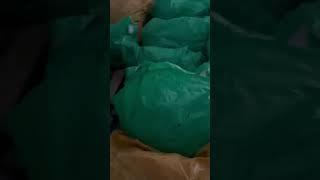 Заготовление уса клубники и хранение его в холодильнике!