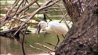 Natura 2000 în România - trailer extins