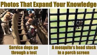 Fascinating Pictures That Will Expand Your Knowledge