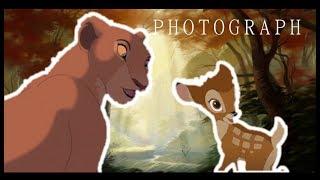 The Lion King & Bambi :Photograph: -Requested by Devran Hasan-