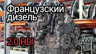 Самый надежный французский мотор? Разбираем турбодизель 2.0 HDI (DW10TD / RHY)