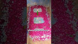 #karbalataalkatora #yaali #islamicphrase #viralvideo #trending #10k #youtubeshorts #subscribe