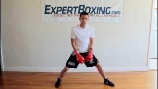 Boxing Tip #2 - Drop the Hips