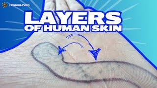 Layers Of The Skin-What’s The Right Layer?