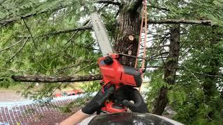 Milwaukee Hatchet In The Tree