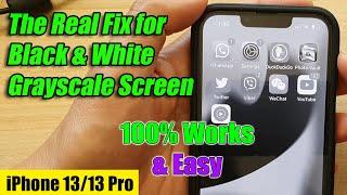 The Real Fix for Black & White Grayscale Screen on iPhone 13 / iPhone 13 Pro/Mini/ 13 Pro Max