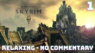 ASMR Skyrim Special Edition NO COMMENTARY Relaxing Gameplay Video - Fall Asleep to Skyrim Part 1