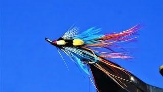 Tying an Irish Shrimp fly, Blue Hackle Shrimp with Scott Jackson