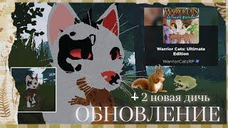 |LEO - MOON|ОБНОВЛЕНИЕ Warrior Cats Ultimate Edition - Roblox ЛОВИМ ЛЯГУШКУ И БЕЛКУ