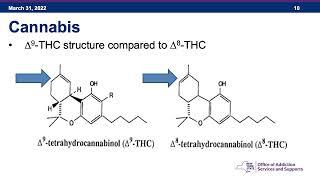 Learning Thursdays: The Science of Cannabis