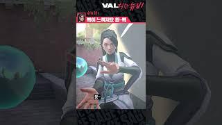 이것이 진정한 벽맛 // VAL칙한 뉴비- 세이지편