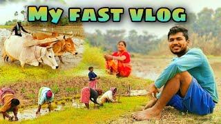 My first vlog is about our village nature, farm crops and farmers. #firstvlog #villagevlog #trending