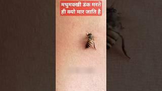 मधुमक्खी डंक मरते ही क्यो मार जाति है #shorts #honeybee #bee #honey #madhumakkhi #knowledge