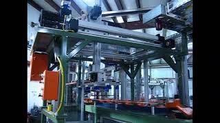 Paletti USA Material Handling Gantry-Actuator System