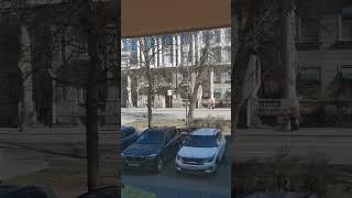 Окажем помощь чужому старику или бабушке. Им мало надо. С Пасхой, христиане! 2025