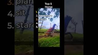 the  best horse clips in the world