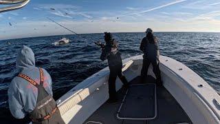 GIANT Bluefin Tuna on Spinning Gear (INSANE Topwater Feeds) - Long Island, New York