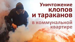 Уничтожение тараканов и клопов, Москва, Хорошёво-Мнёвники