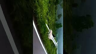 2 April 2025 #view#pahari️