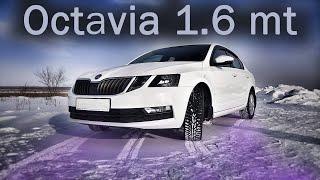 Обзор и тест драйв Skoda Octavia a7 (2019).Масложор и косяки сборки?