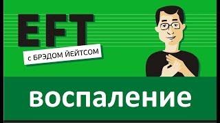 Воспаление #брэдйейтс #павелпоздняков #eft