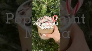 Peppermint Mocha Latte #christmas #aesthetic #holiday #latte
