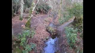Stover Country Park, Newton Abbot, Devon