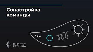 Сонастройка команды