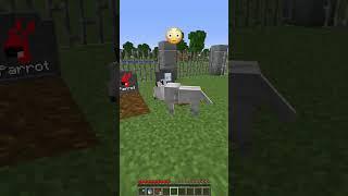 Sad Dog Facing Harsh Reality vs Solution Emoji Reaction #shorts #meme #minecraft