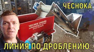 ПРОИЗВОДИТЕЛЬНОСТЬ 1 ТОННА В СМЕНУ!!! линия по дроблению чеснока