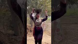 Desi Ptoly ky Desi kam