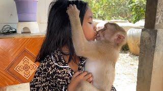 Aww Sweet Monkey Zueii After Grooming She Show Kiss Mouth Sister