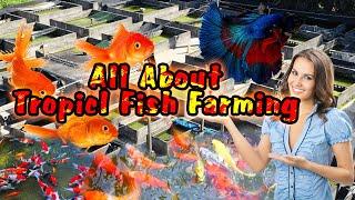 All About Tropicl Fish Farming - ORNAMENTAL FISH FARMING - Aquarium