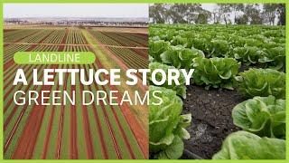 A Lettuce Story: One family's Australian salad empire | Lettuce | ABC News