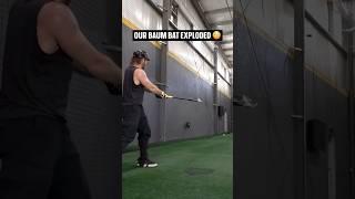 The most epic bat explosion in the history of Bat Bros... 