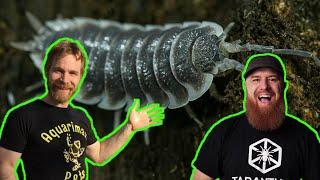 Isopods & Bioactive Enclosures w/ Aquarimax Pets