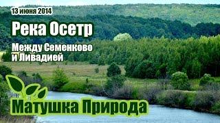 Река Осетр. Между деревни Семенково и Ливадией