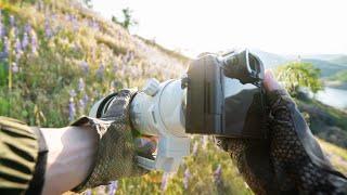 Relaxing POV Spring Wildlife Photography