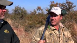 What Are The Best Hunting Calibers For African Game?