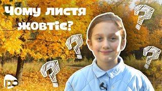 ЧОМУ ЛИСТЯ ЖОВТІЄ?// Злата Цимбаліста// Тема програми: Відповіді на усі осінні «Чому»?