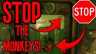 How to STOP THE MONKEYS from Stealing your Perks on Ascension!