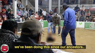 The Brutal Cockfights of Rural Mexico